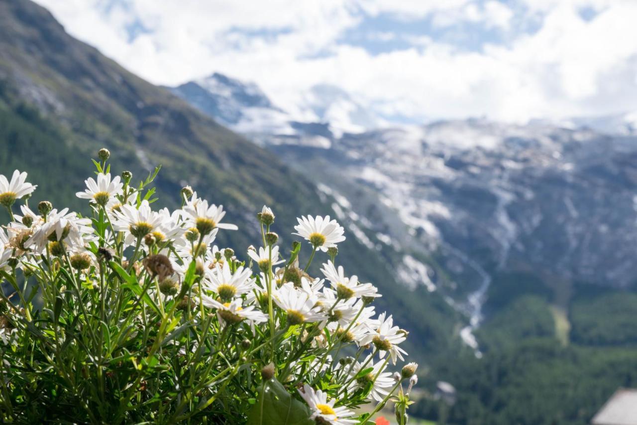 Hotel Europa Saas Fee Εξωτερικό φωτογραφία